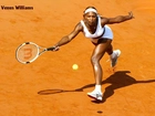 Tennis,Venus Williams