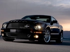 Czarny, Ford Shelby GT 500 KR