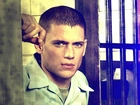 Prison Break, Wentworth Miller, przystojny