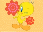 Tweety, Oczko