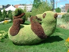 Rzeźba, Ogrodowa, Panda