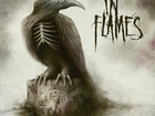 In Flames, Ptak, Zegar