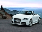 Audi TT, Roadster