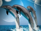 Delfiny, Woda, Planety