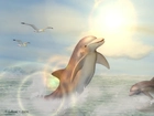Delfiny, Morze, 3D