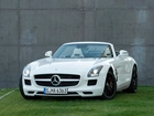 Mercedes-Benz SLS Roadster AMG, Maska, Znaczek