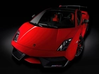 Lamborghini Gallardo LP570 Super Trofeo Stradale