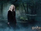 Harry Potter, Luna Lovegood, Las