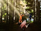 Naruto, ludzie, las