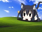 Chibi, Windows XP, K-On!