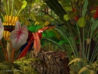 Tropikalna, Dżungla, 3D