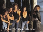 Bon Jovi,Tom , David, Tico, Richie ,Alen