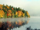 Jesień, Kolorowe, Drzewa, Jezioro, Odbicie