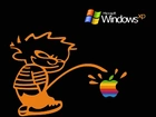 Windows, XP, Kontra, Apple