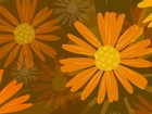 Pomarańczowe, Kwiatki, Tekstura