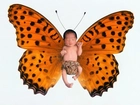 Dziecko Motyl