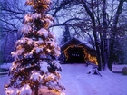 Boże, Narodzenie, Choinka, Śnieg, Domek