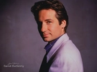 David Duchovny,koszula, marynarka