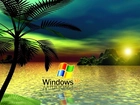 Logo, Windows, XP, Morze, Skały, Palma