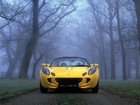 Żółty, Lotus Elise, Przód