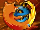 Explorer, FireFox