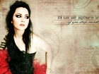 Amy Lee, Evanescence, Plakat