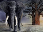 Słoń, Drzewo, Burza