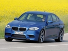 BMW F10, Seria 5