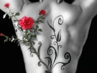 Plecy, Tatuaż, Gałązka, Róży
