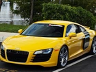 Audi R8, Fontanna