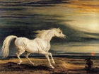 Koń, Obraz