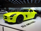 Mercedes SLS AMG E-Cell