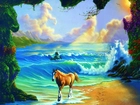 Koń, Morze, Plaża