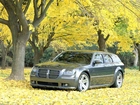 Dodge Magnum, Drzewa