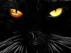 Czarny, Kot, Oczy, Fraktal