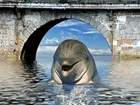 Delfin, Woda, Most