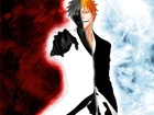 Ichigo, Bleach, Kontrast