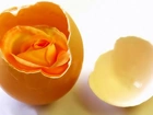Jajko, Żółtko, Róża