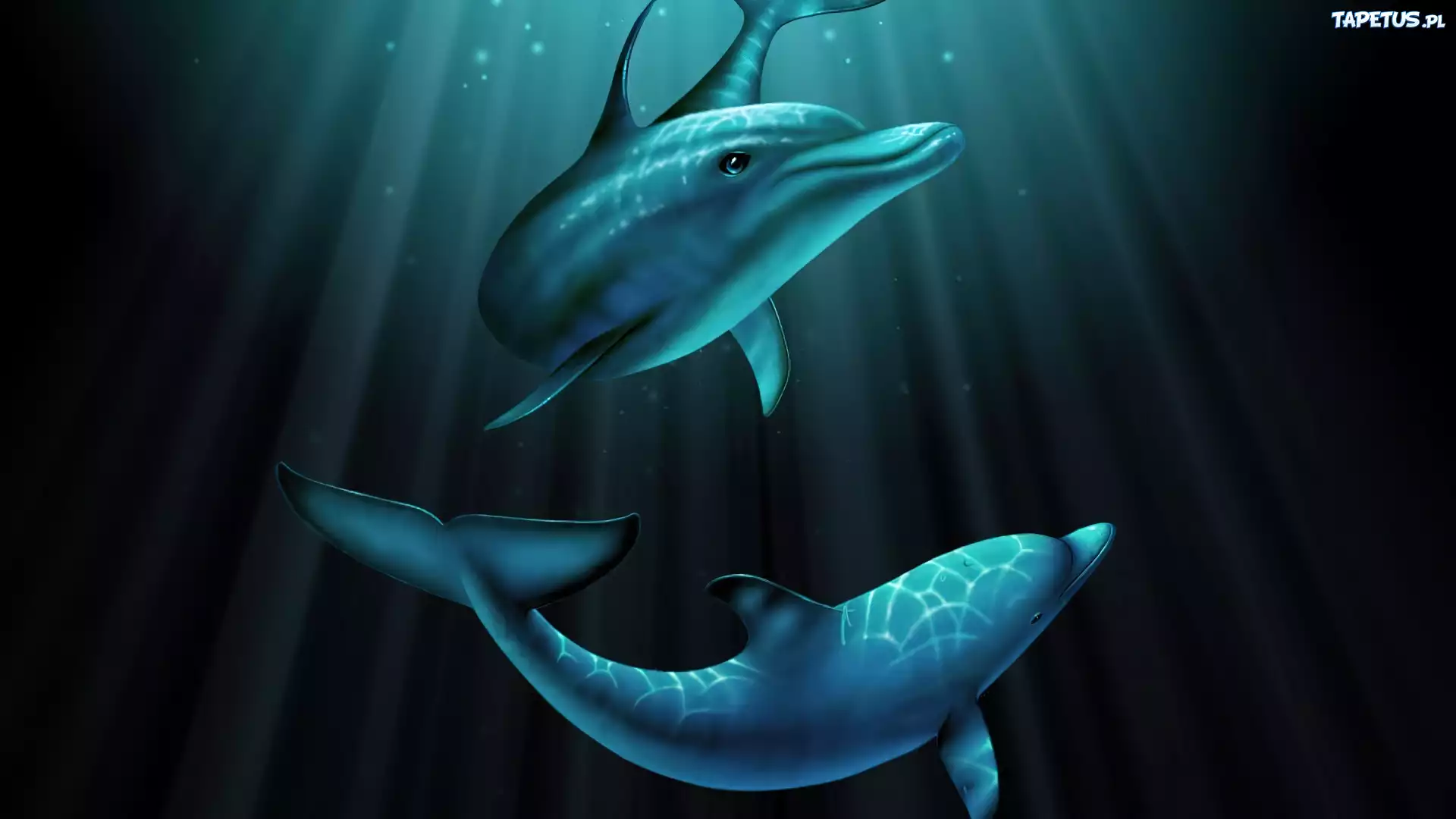 Delfiny, Woda