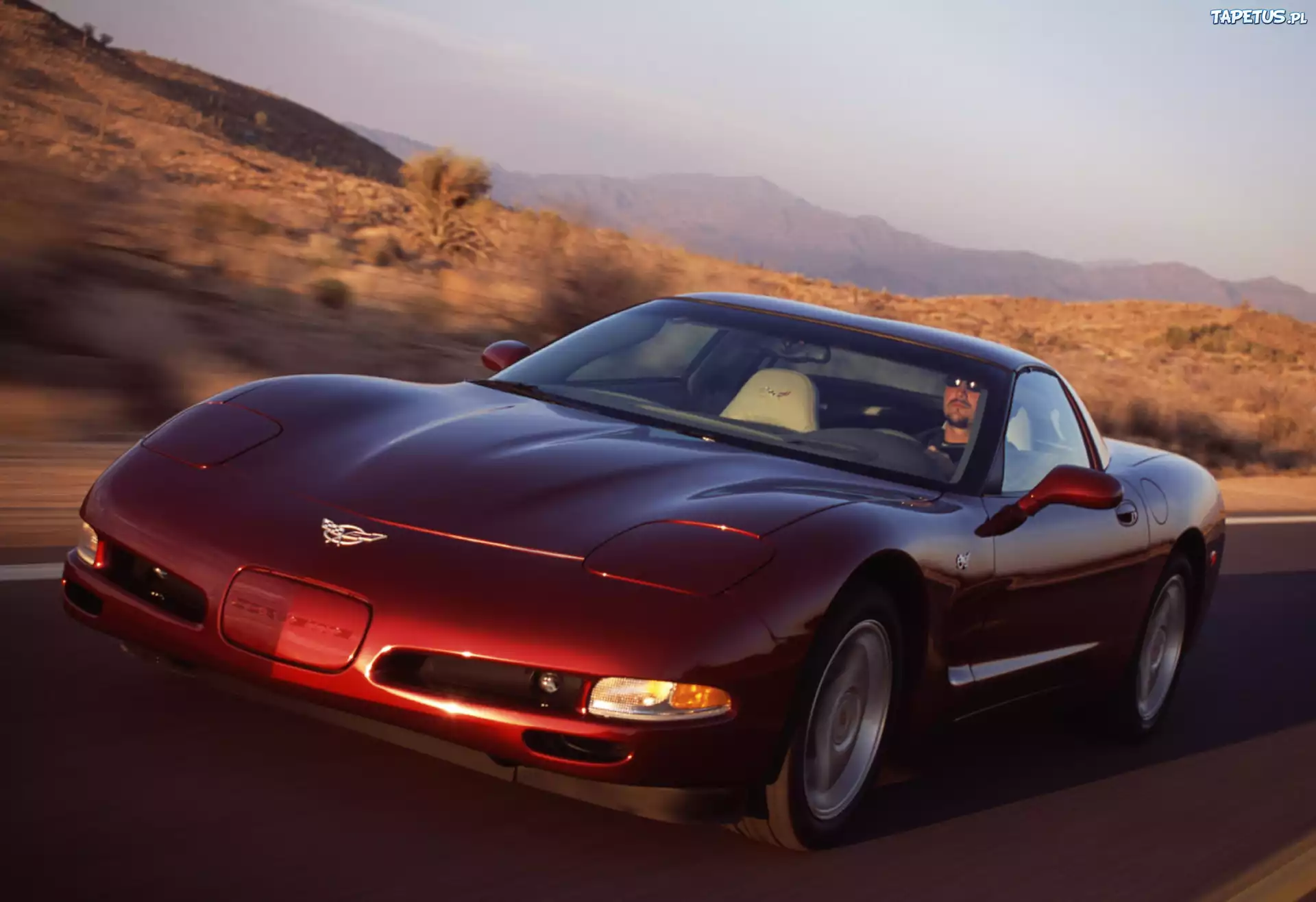 Corvette