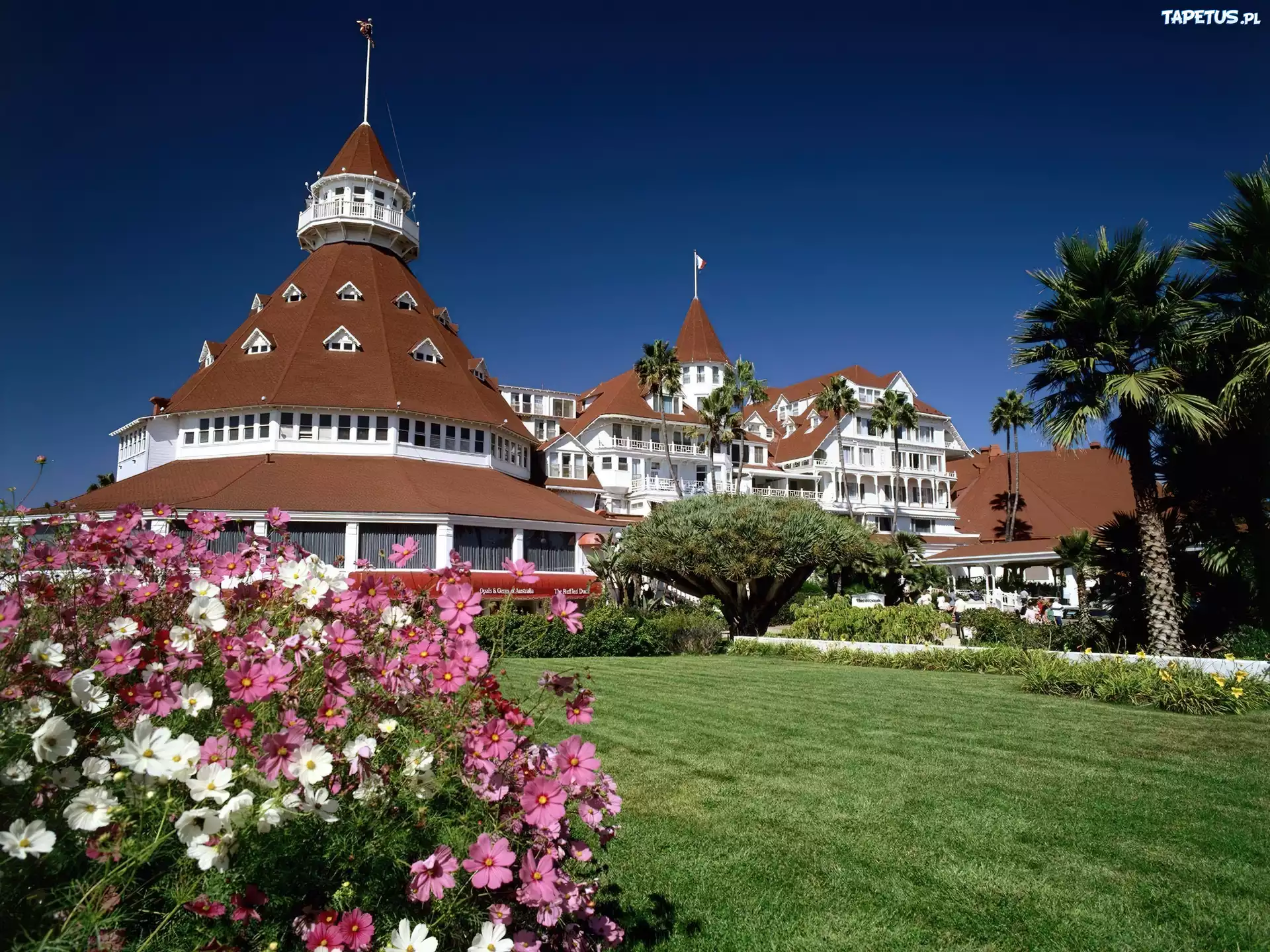 Hotel, Coronado, Kwiaty, Trawnik
