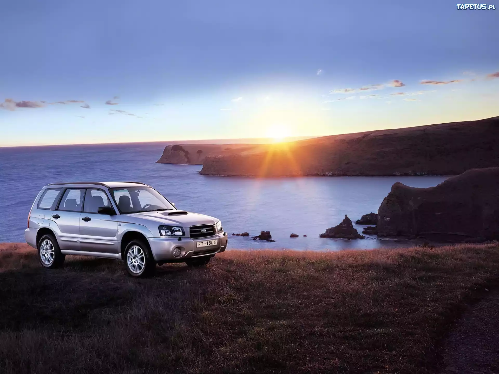 Subaru, Forester, SUV