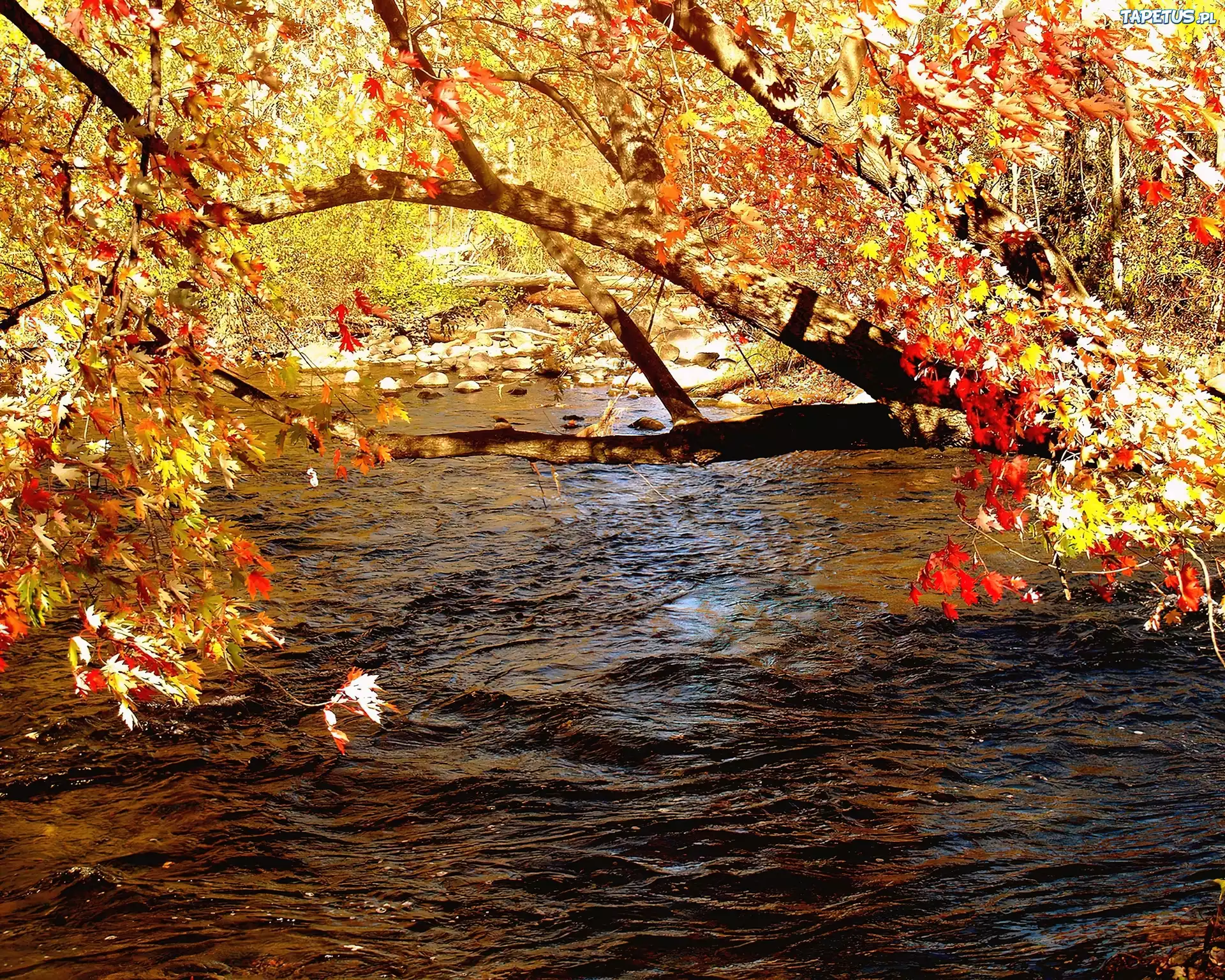 Fall scenes. Осень. Осень картинки. Осенние обои на рабочий стол 1280х1024. Осень Сток.