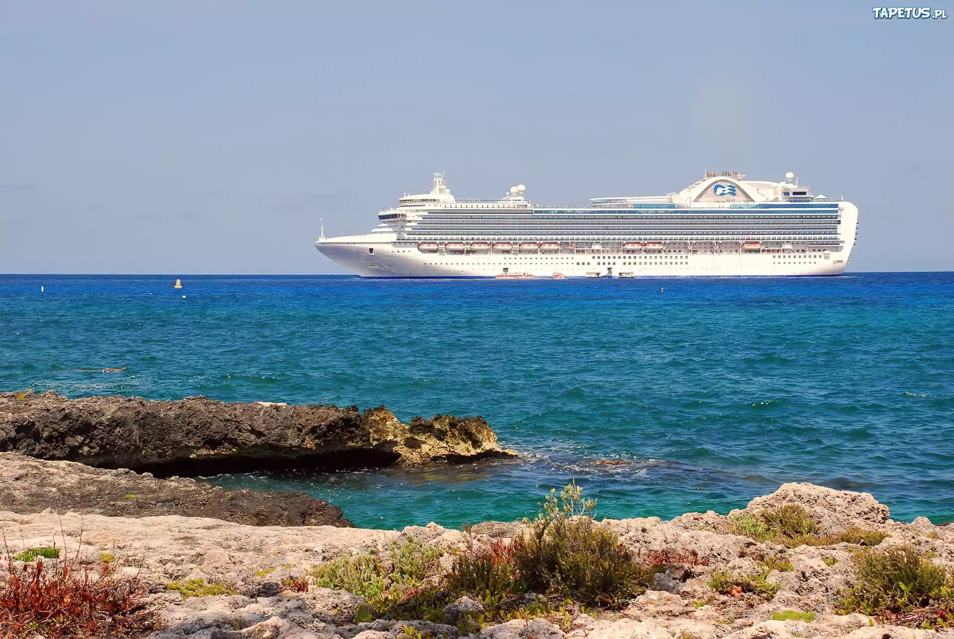 Crown Princess