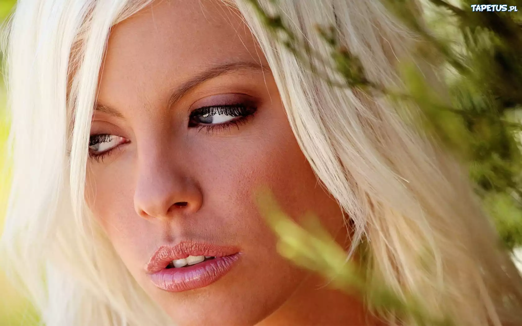Britney Amber, Twarz