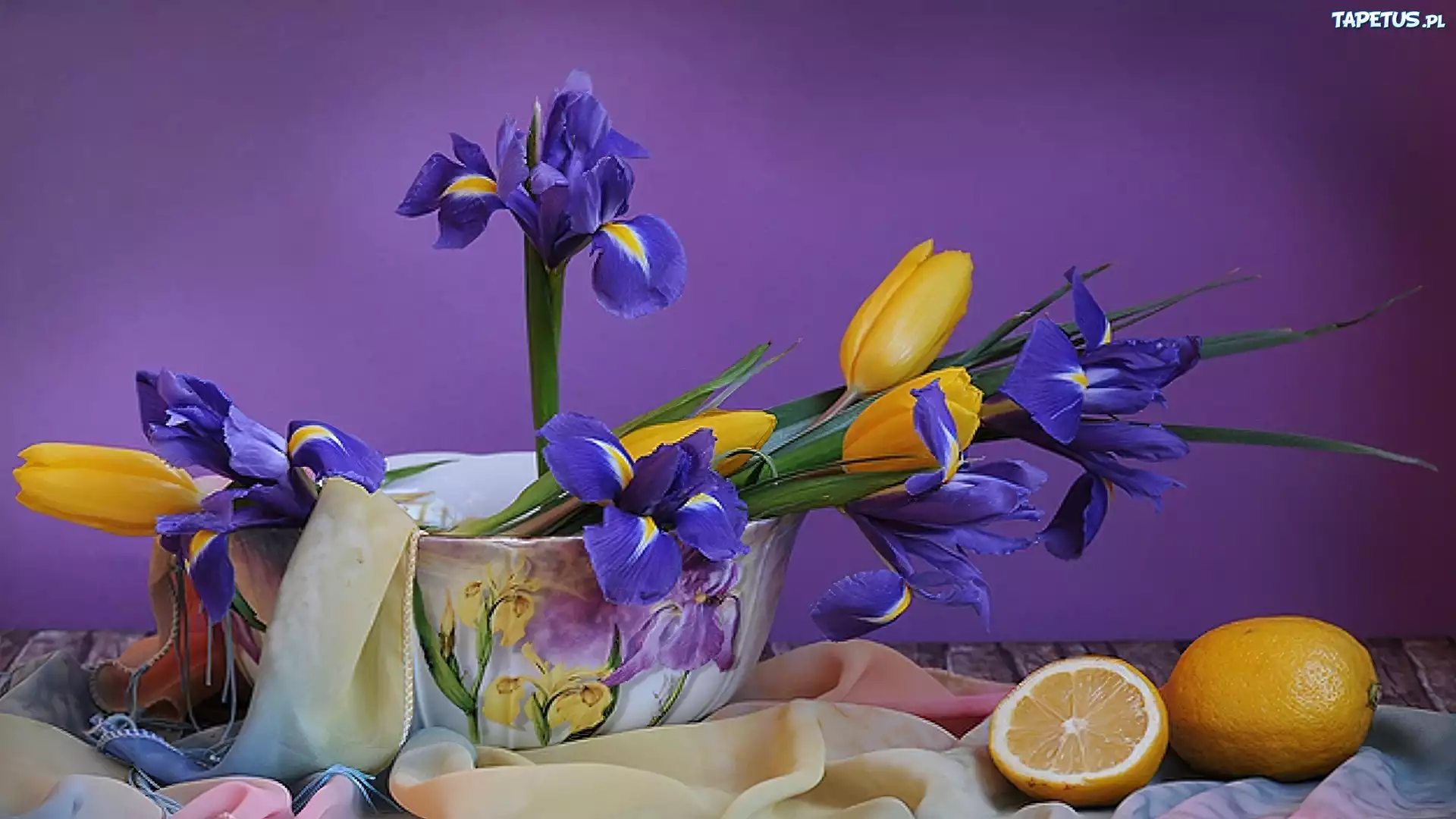Irysy, Tulipany, Cytryny
