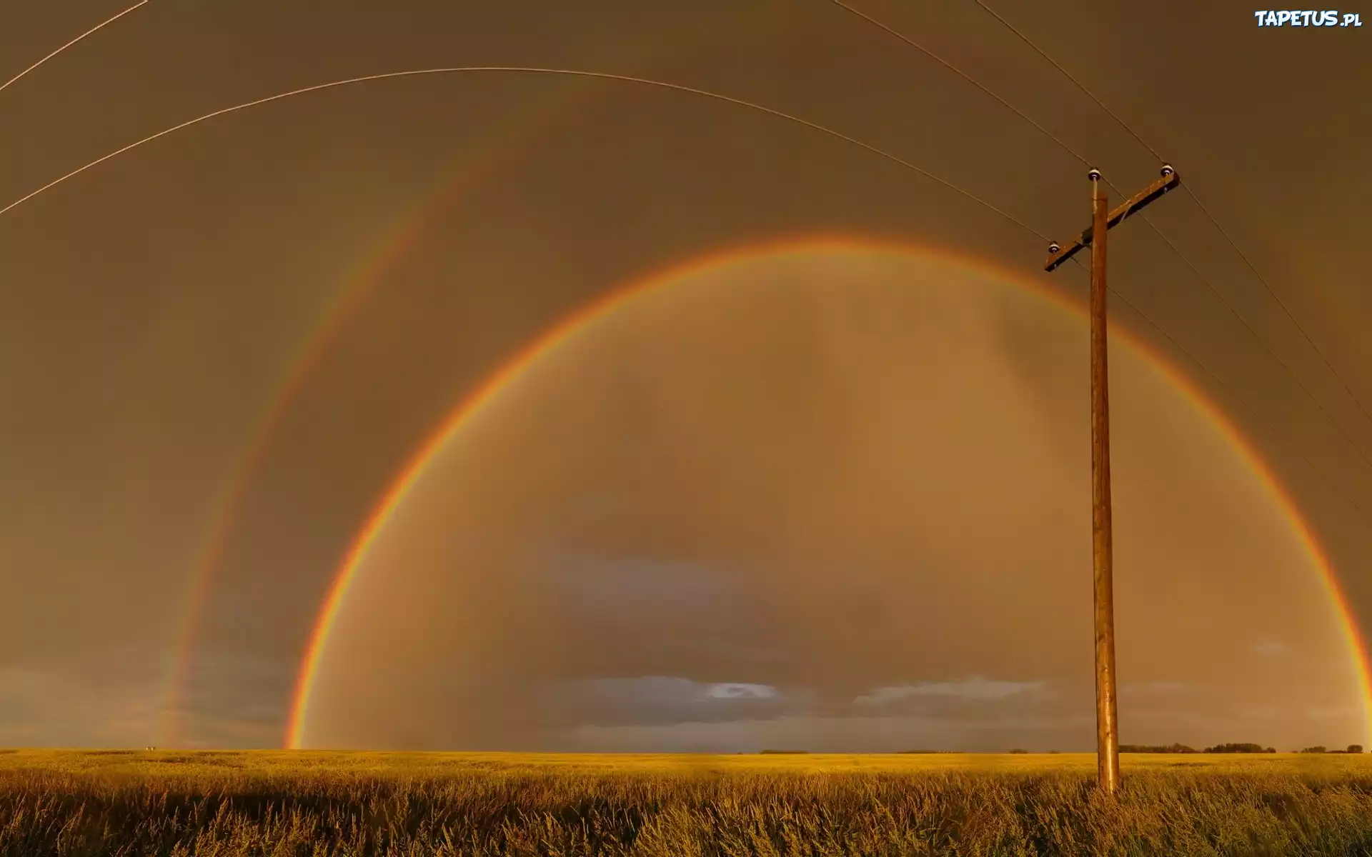 Pole, Słup, Tęcza