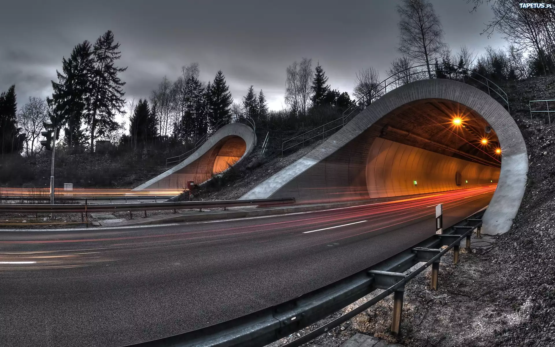 Droga, Tunel, Drzewa