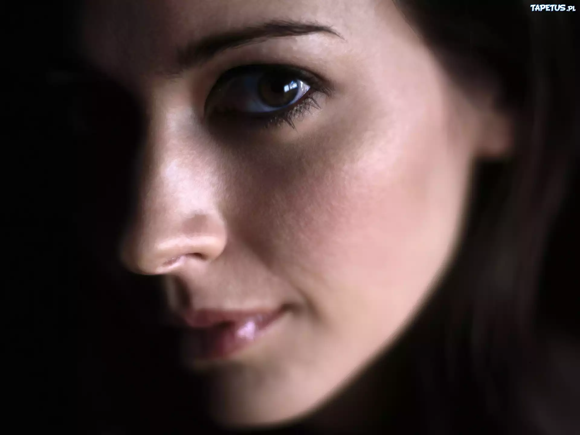 Amy Acker, Aktorka, Portret