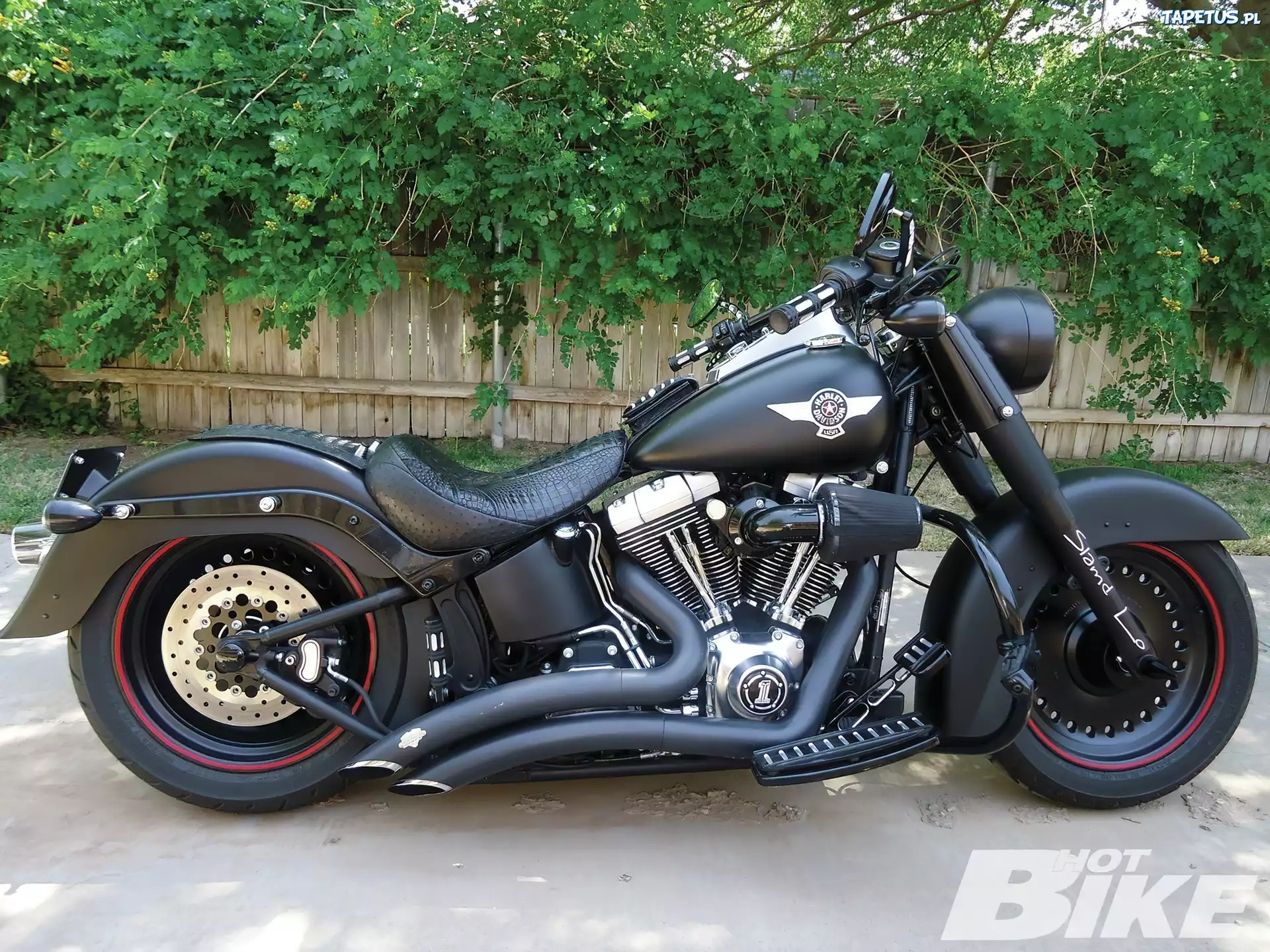 Harley, Davidson, Cruiser
